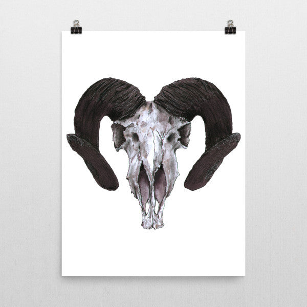 Ram Skull Concave Turned Horns Black Ink Poster by Robert Bowen - Robert Bowen Tees