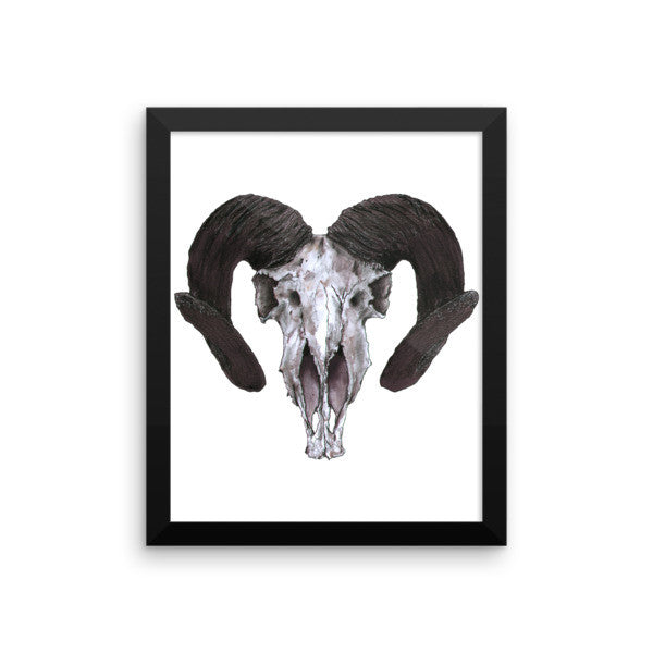 Ram Skull Concave Turned Horns Black Ink Framed Poster - Robert Bowen Tees