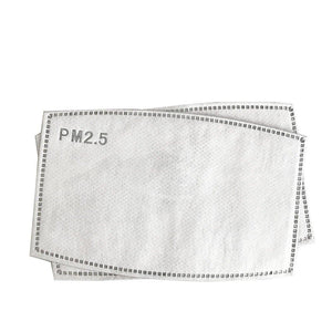 10pcs PM2.5 Filter Papers