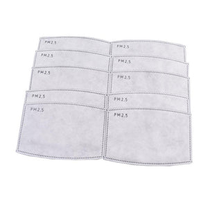 10pcs PM2.5 Filter Papers