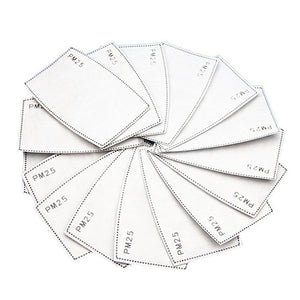 10pcs PM2.5 Filter Papers